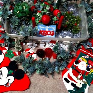 Holiday Christmas package.